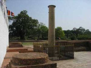 ashoka-pillar